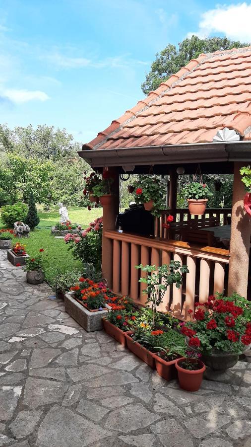 Apartmani "Dukic" Pelinovo المظهر الخارجي الصورة
