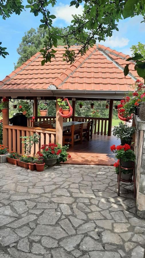 Apartmani "Dukic" Pelinovo المظهر الخارجي الصورة