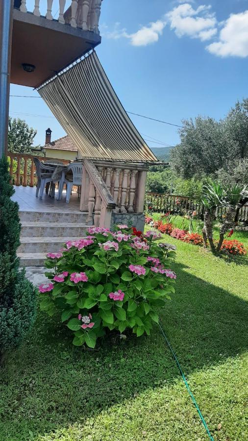 Apartmani "Dukic" Pelinovo المظهر الخارجي الصورة