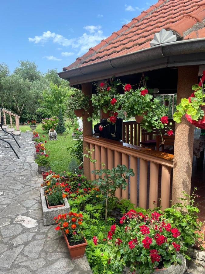 Apartmani "Dukic" Pelinovo المظهر الخارجي الصورة