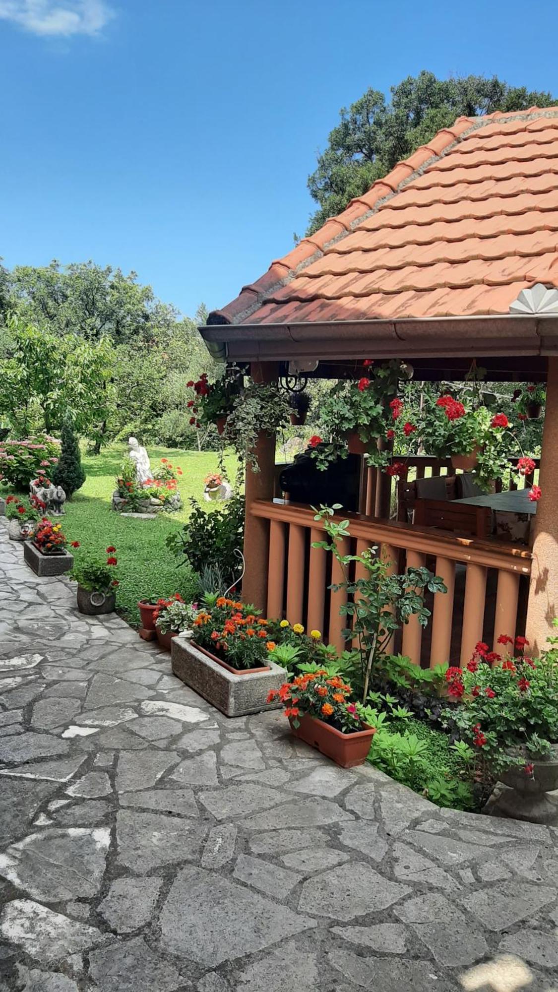 Apartmani "Dukic" Pelinovo الغرفة الصورة