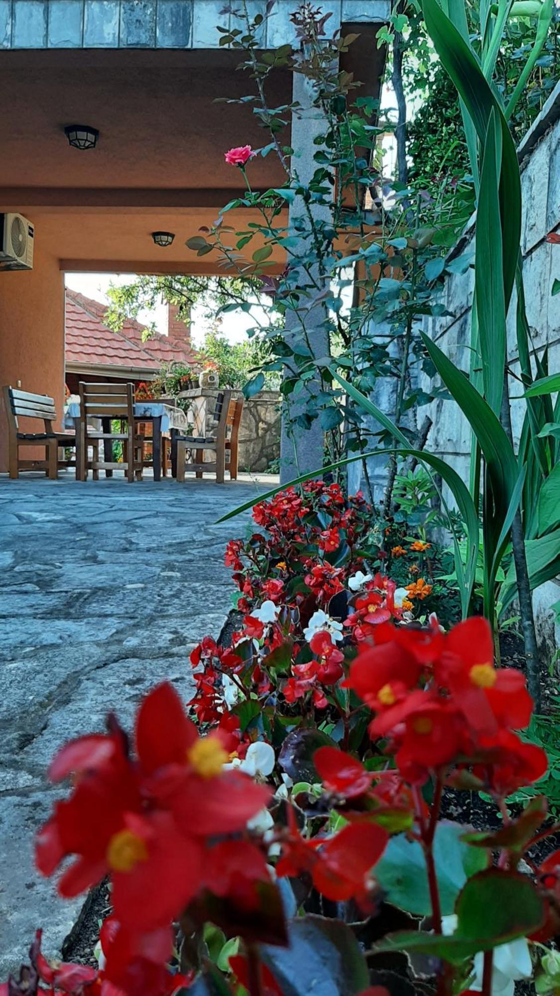 Apartmani "Dukic" Pelinovo الغرفة الصورة