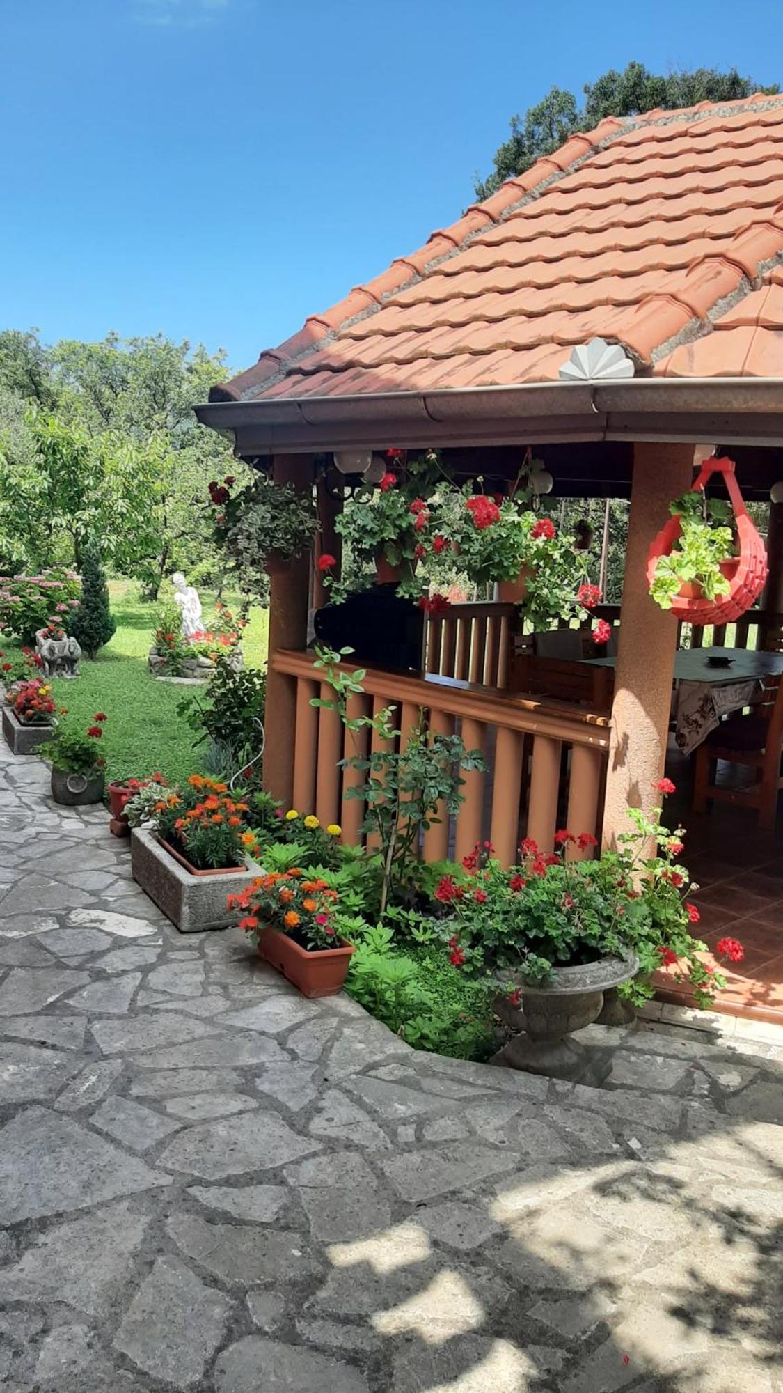 Apartmani "Dukic" Pelinovo الغرفة الصورة