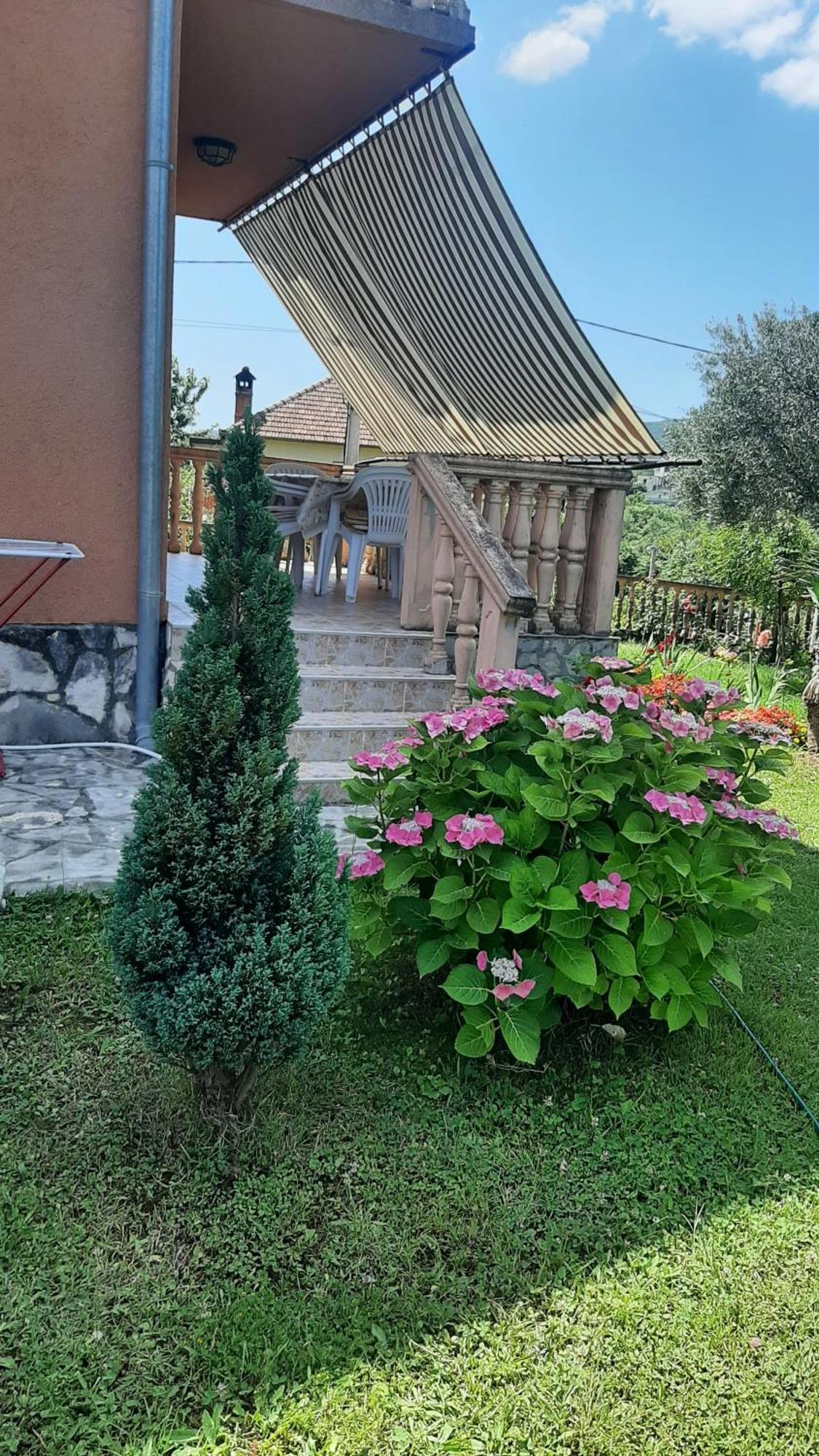Apartmani "Dukic" Pelinovo الغرفة الصورة